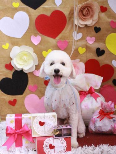 20230219ビビくん